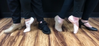 Dance Shoppe Inc. - Dancewear in Kansas City, MO